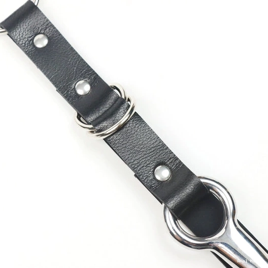 Anal Hooks and Leash with EverydayUse 5853 Hook Anal Kinky Collar 0902